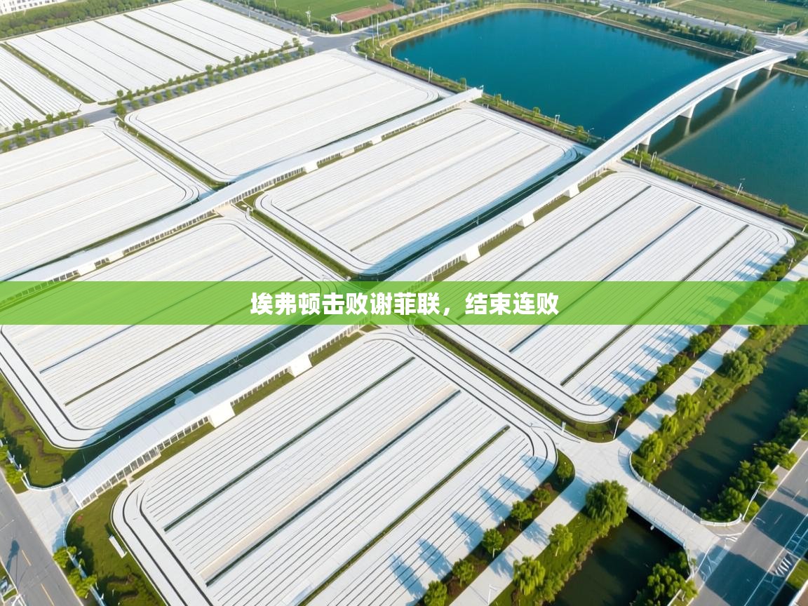 埃弗顿击败谢菲联,结束连败 第1张