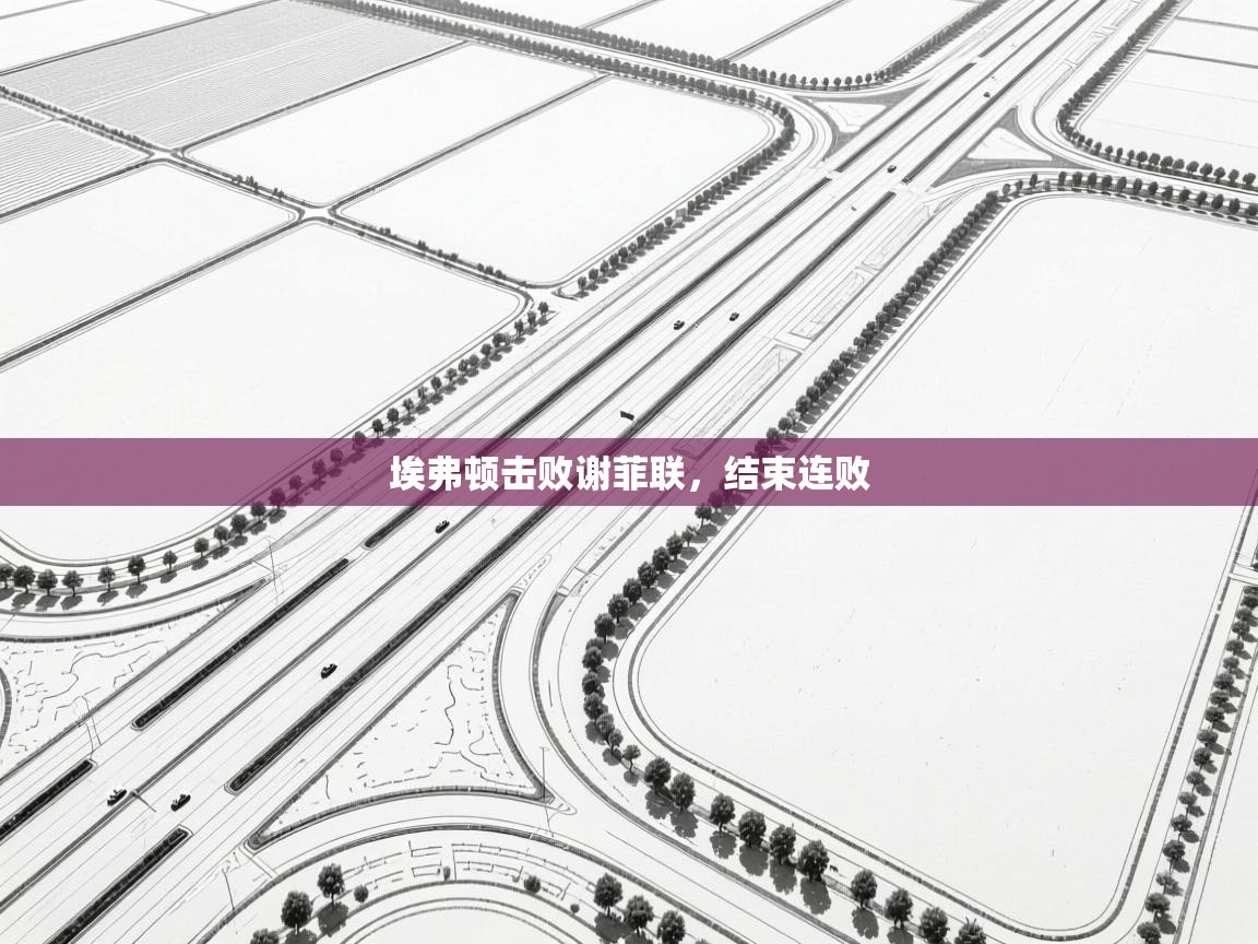 埃弗顿击败谢菲联,结束连败 第2张