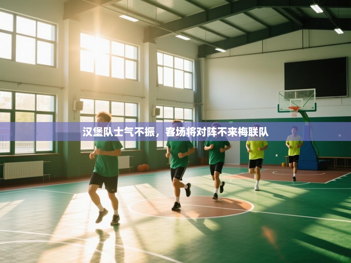 汉堡队士气不振，客场将对阵不来梅联队  第1张